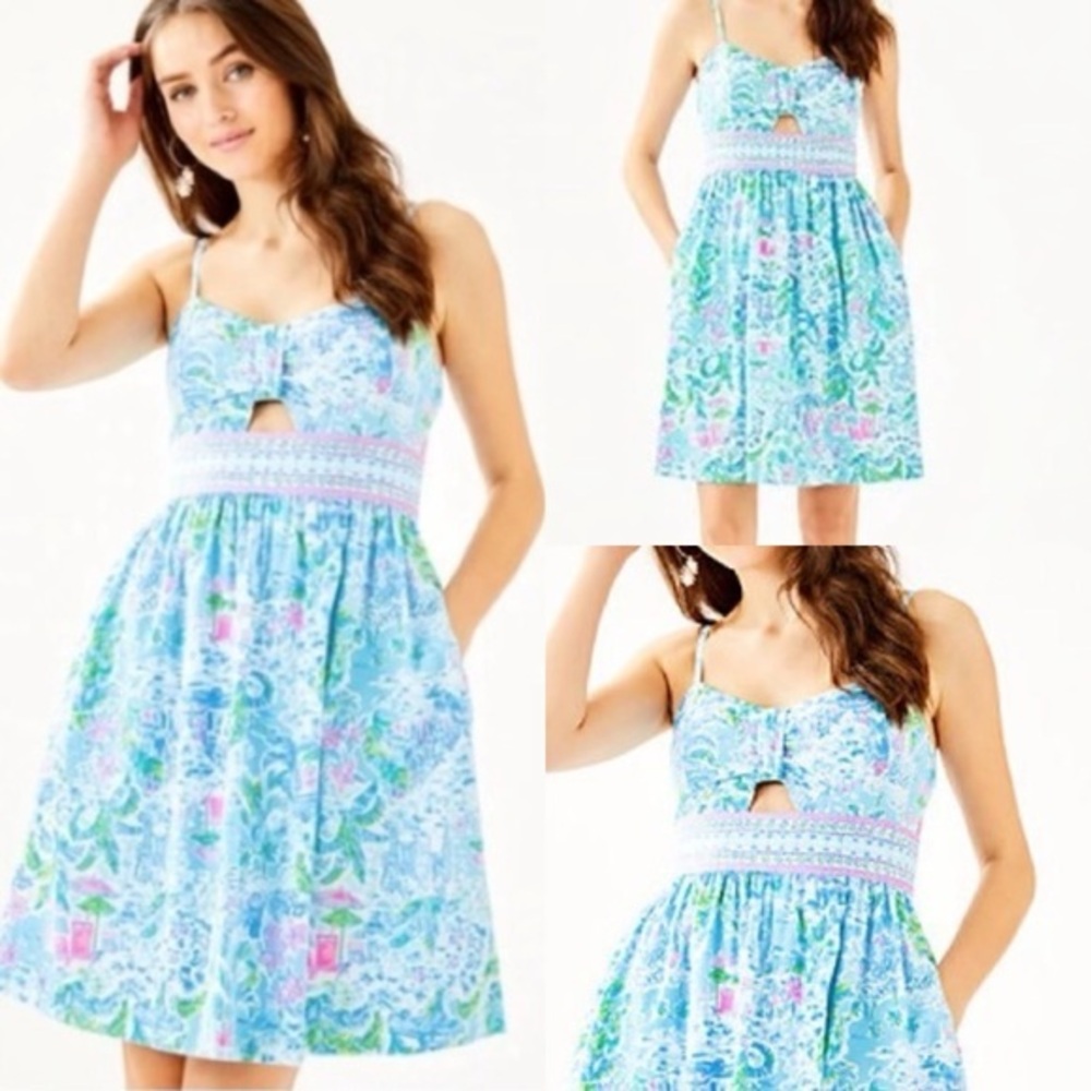 Lilly Pulitzer Katlynn Dress What A Lovely Place